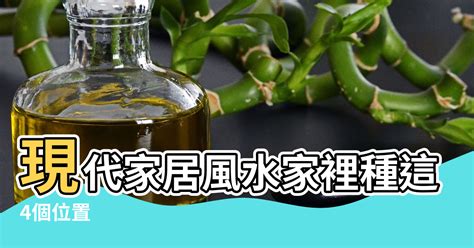 家裡種樹|種樹改運：實用風水術